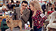 Best In Show