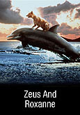 Zeus And Roxanne